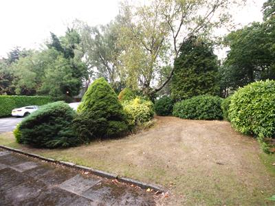 Picture 21